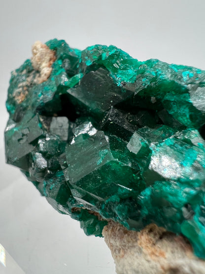 Dioptase Crystal Specimen. Gorgeous Rare Mineral From The Congo. High Quality Display Crystal