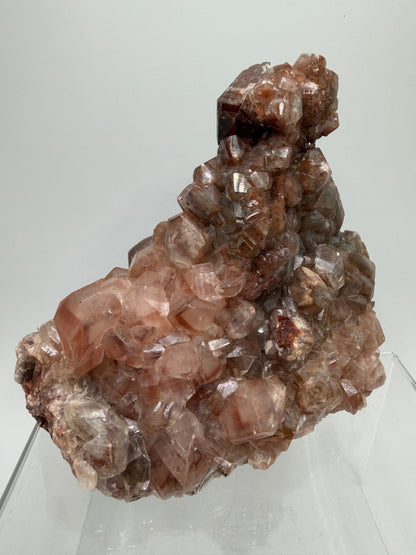 Chocolate Calcite Specimen. Very High Quality Cubic Hematite Calcite Cluster. Stunning Crystal Display Specimen