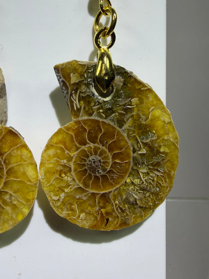 Ammonite Crystal Earrings. Amazing One Of A Kind Jewelry. High Quality Ammonite Pair
