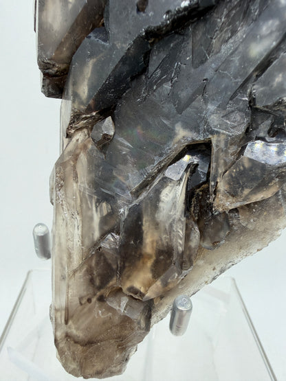 Elestial Quartz Specimen. High Quality Smoky Quartz Cluster. Amazing Colors, Excellent Windows, And Gorgeous Rainbows!
