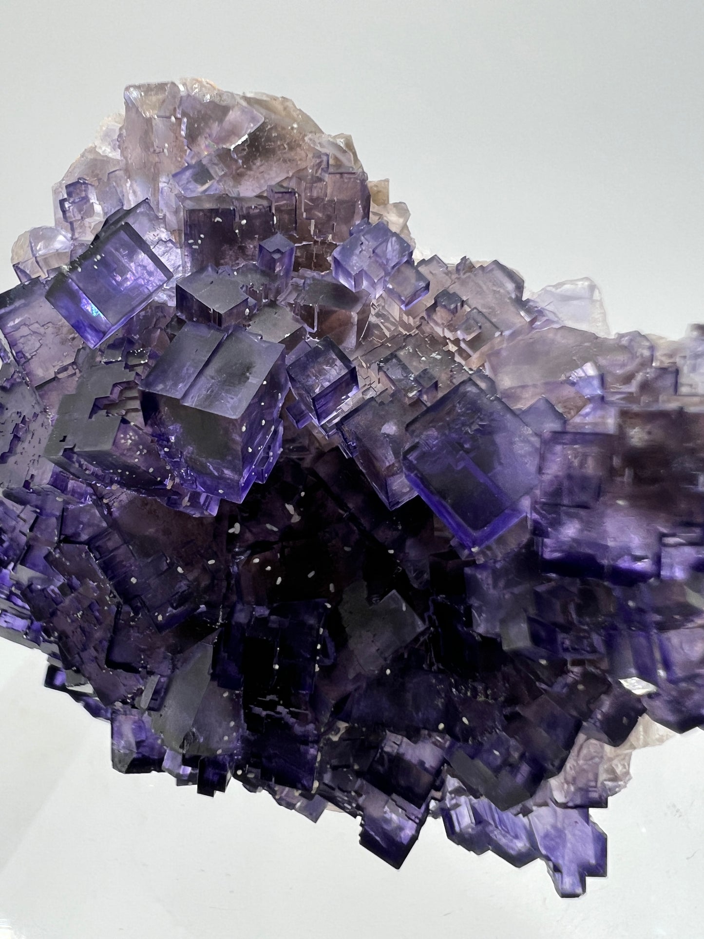 Muzquiz Purple Fluorite Specimen. High Quality Mexican Fluorite Specimen. Gorgeous Collectible Display Crystal