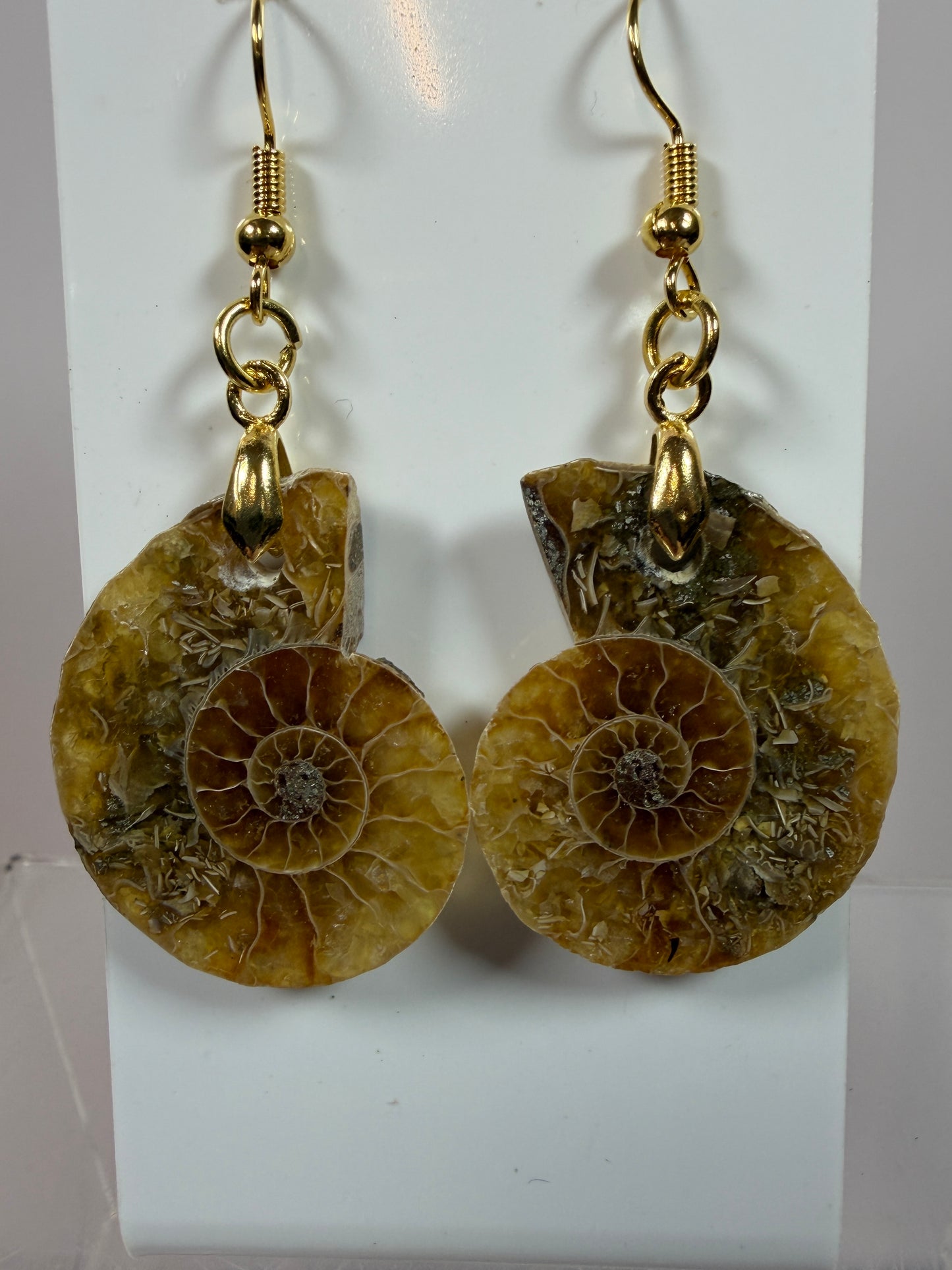 Ammonite Crystal Earrings. Amazing One Of A Kind Jewelry. High Quality Ammonite Pair