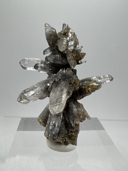 Veracruz Black Phantom Quartz Specimen. New Discovery From Mexico. Very Rare And Limited Collectors Piece. Stunning Display Crystal.