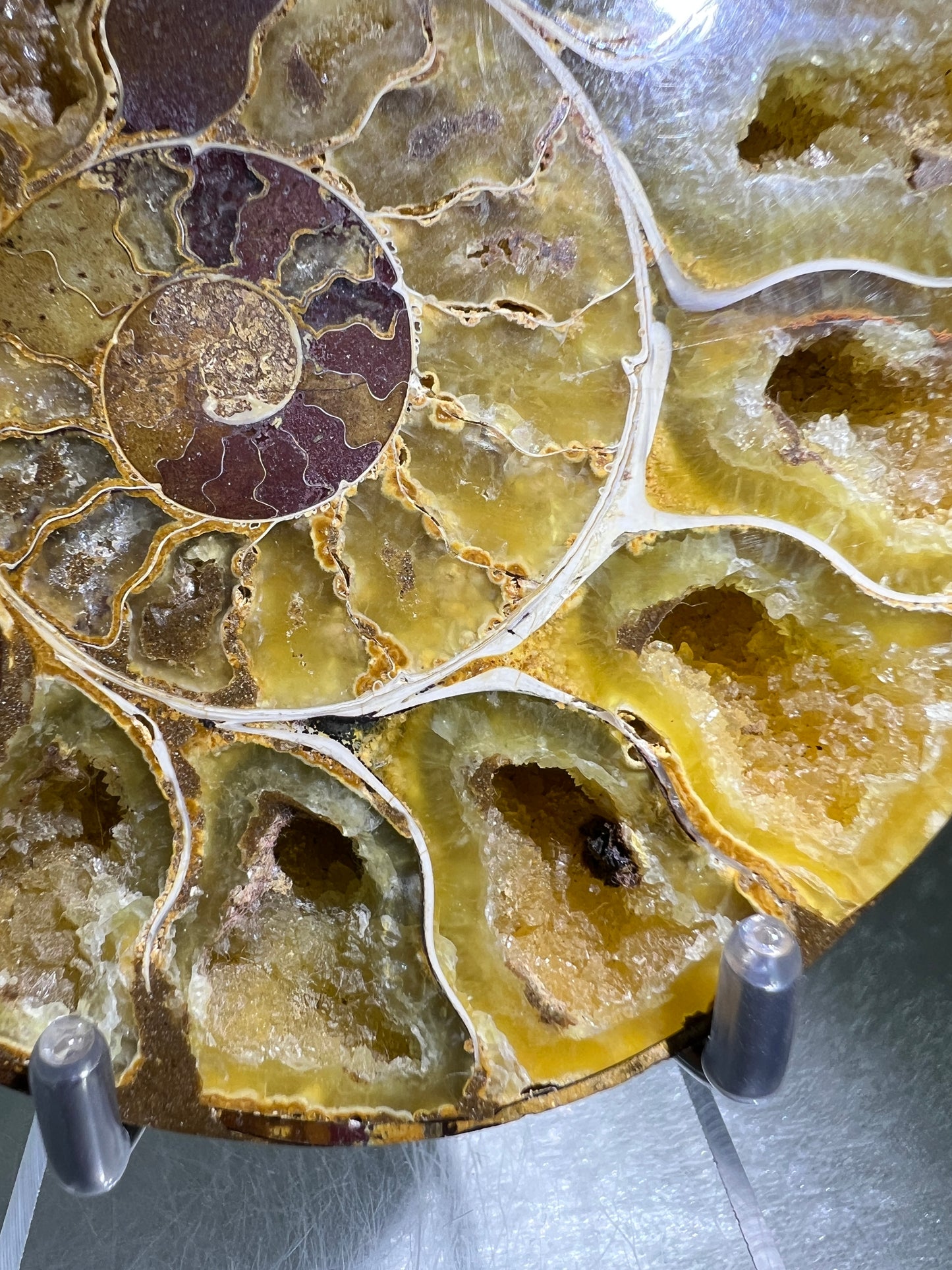 Yellow Ammonite Display Pair. Amazing Yellow Colors With Jigsaw Fossil Patterns. Gorgeous Rare Fossil Specimen From Madagascar.