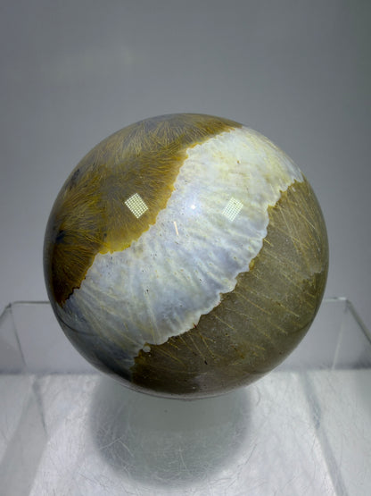 Sagenite Crystal Sphere. 61mm. Incredible Sagenite Plumes With Dendritic Agate. Rare And Unique Crystal Display Sphere
