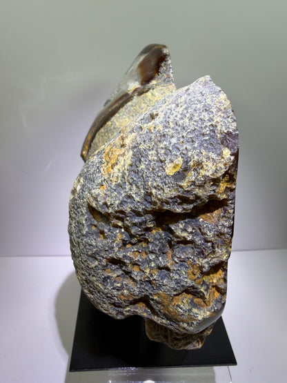 Agate Geode Wings From Brazil. Gorgeous Large Split Geode On A Custom Stand. Amazing Druzy Display Crystal
