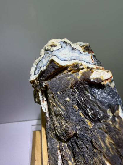 Botryoidal Black Jasper Specimen. Very Rare Geode From Brazil. High Quality Crystal With Custom Stand