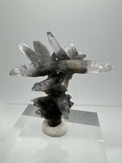 Veracruz Black Phantom Quartz Specimen. New Discovery From Mexico. Very Rare And Limited Collectors Piece. Stunning Display Crystal.
