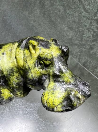 Leopard Stone Hippo Carving. Amazing Crystal Art From Zimbabwe. Incredible Collectors Piece.