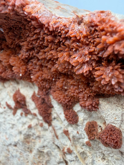 Orange Red Dogtooth Calcite Specimen. Stunning Dogtooth Flower Clusters. High Quality Rare Specimen