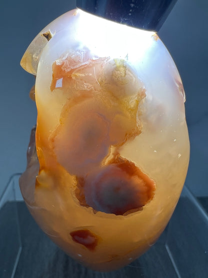 Flower Agate Freeform. Stunning Botryoidal Druzy. Very Unique Display Crystal.