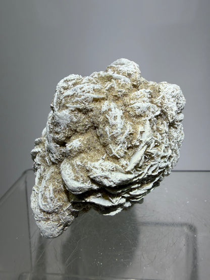 Selenite Desert Rose Specimen. Very Unique Gypsum Cluster.