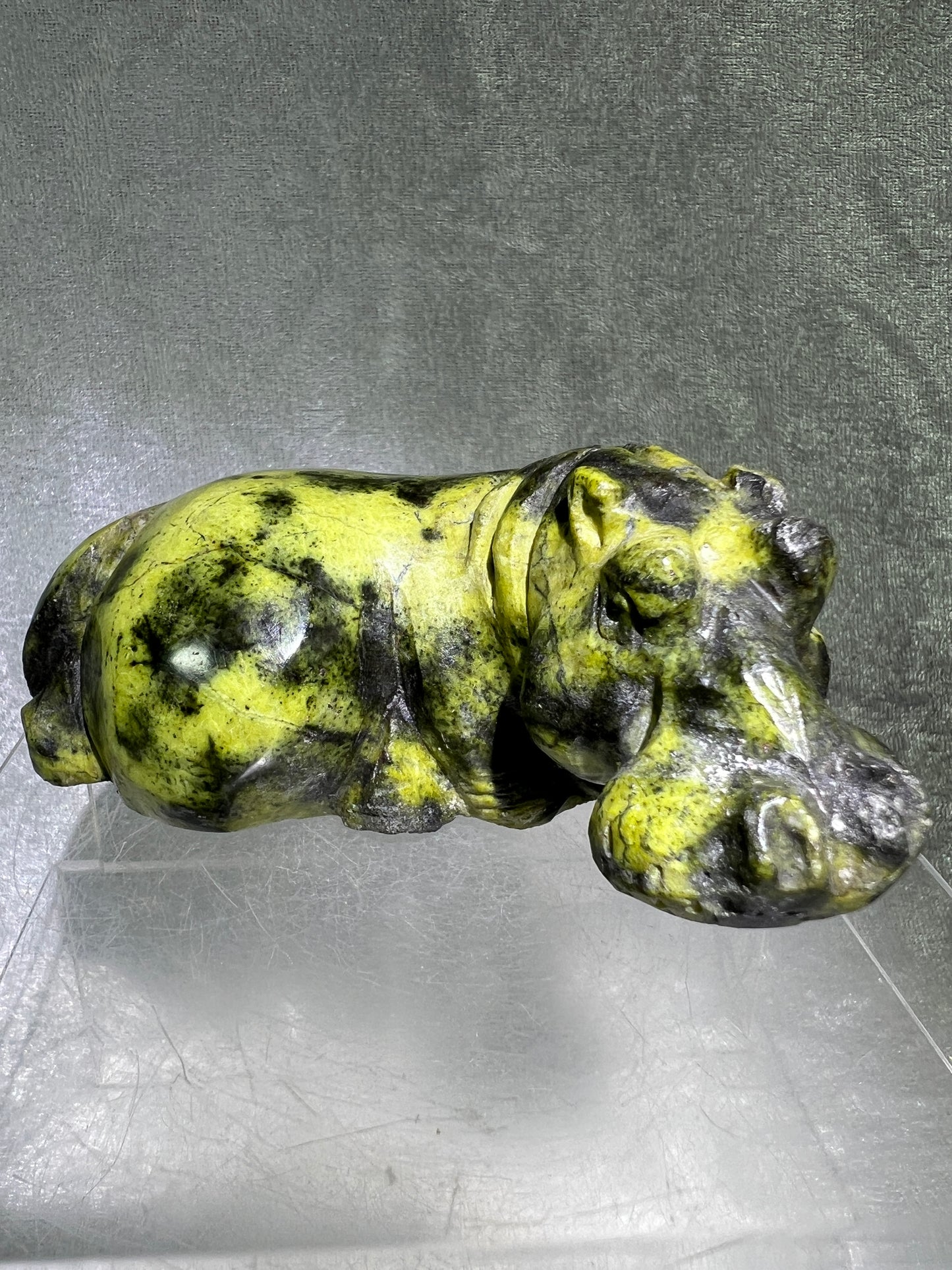 Leopard Stone Hippo Carving. Amazing Crystal Art From Zimbabwe. Incredible Collectors Piece.