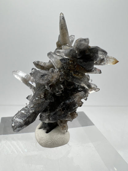 Veracruz Black Phantom Quartz Specimen. New Discovery From Mexico. Very Rare And Limited Collectors Piece. Stunning Display Crystal.