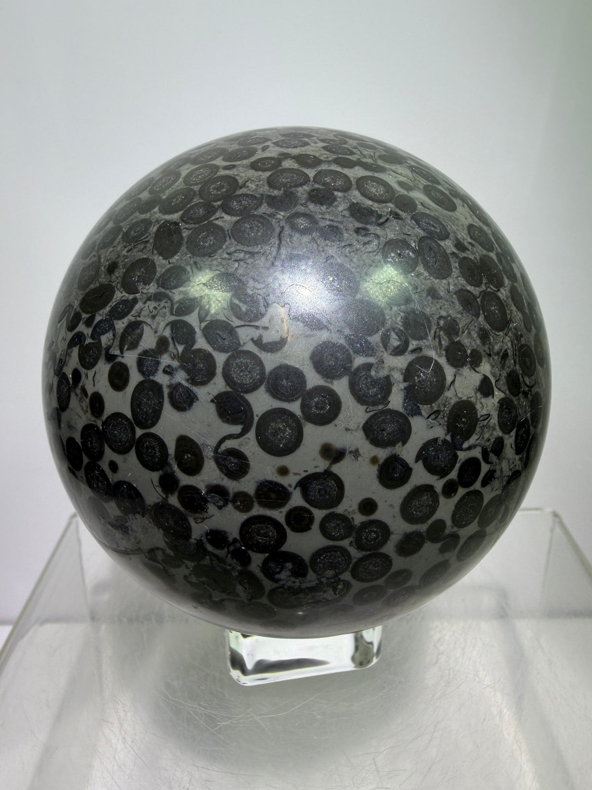 Leopardskin Jasper Sphere. 79mm. Gorgeous And Realistic Leopard Cheetah Patterns. Very Pretty Display Crystal