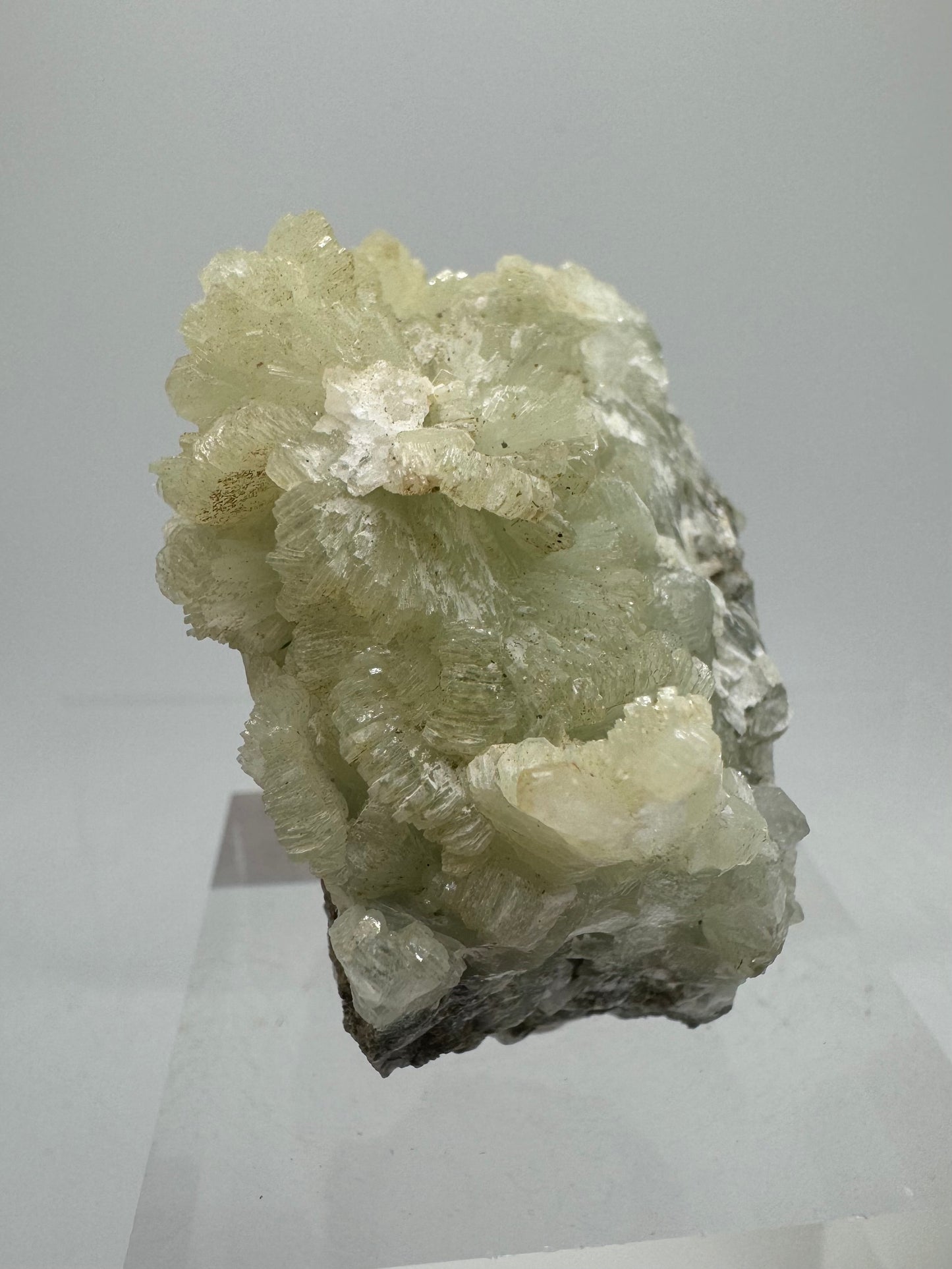 Prehnite Specimen From Morocco. Stunning Light Green Crystal Clusters. Gorgeous Mineral Display