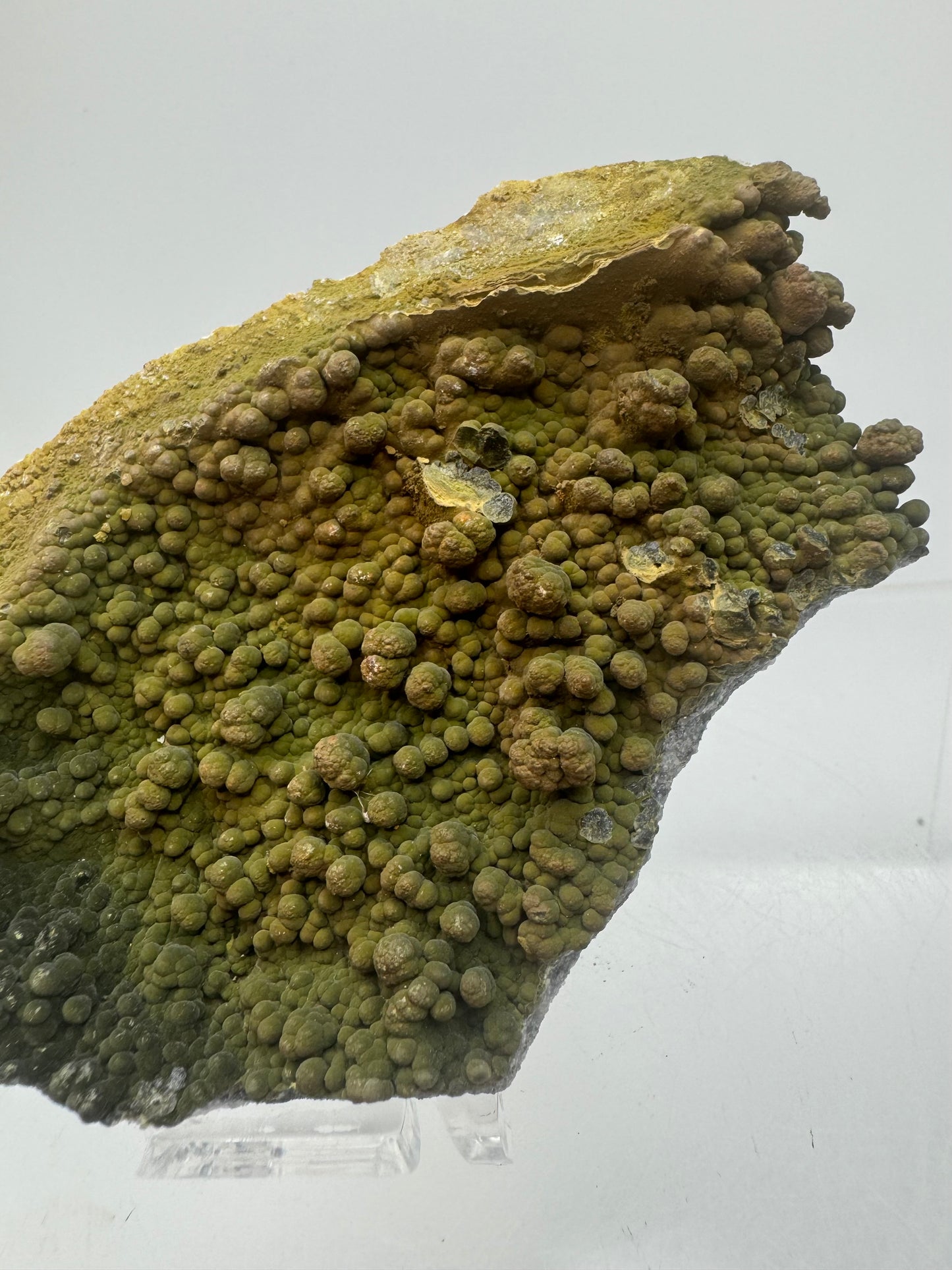 Mottramite Crystal Specimen. From The Famous 2011 Mexico Discovery. Top Quality Mineral Specimen. Very Rare Must Have For Any Collector.