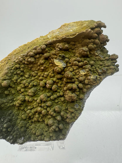 Mottramite Crystal Specimen. From The Famous 2011 Mexico Discovery. Top Quality Mineral Specimen. Very Rare Must Have For Any Collector.