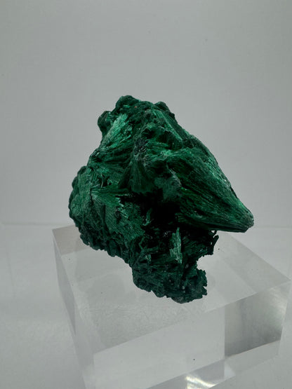 Malachite Display Specimen. Silky Malachite Cluster. High Quality Velvet Malachite From The Congo
