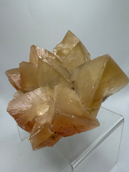 Mariposa Butterfly Calcite Cluster. Large Beautiful Calcite From Mexico. Fantastic High Quality Mineral Specimen