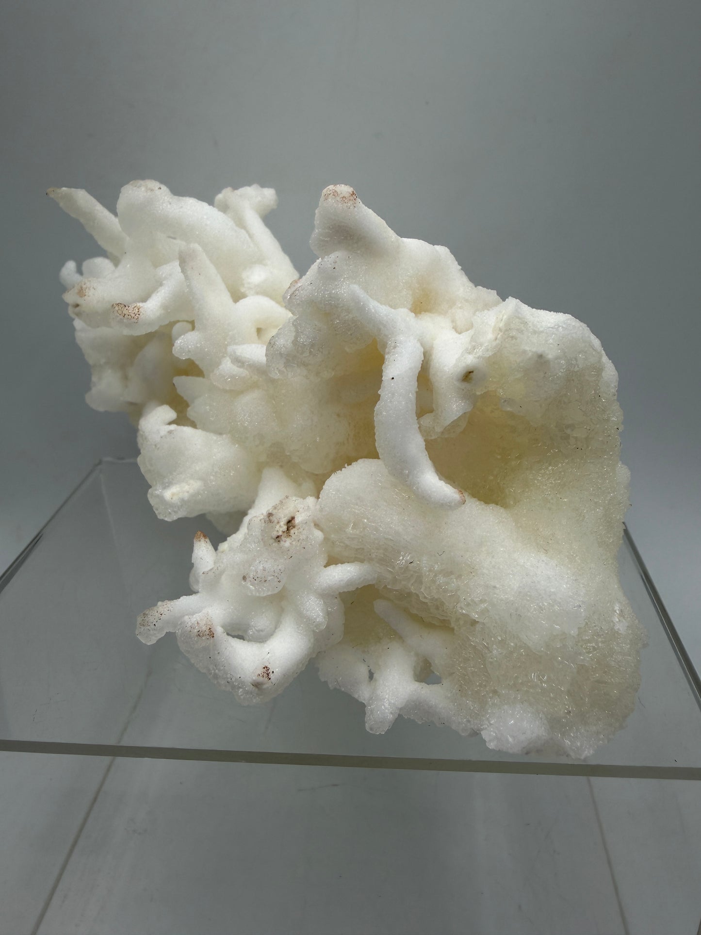 Calcite Helectite Crystal Specimen. Rare Amazing Cave Calcite Formation. High Quality Unique Mineral Display