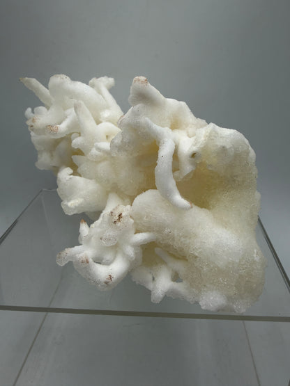 Calcite Helectite Crystal Specimen. Rare Amazing Cave Calcite Formation. High Quality Unique Mineral Display