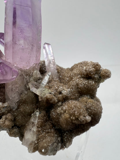 Veracruz Amethyst Display Cluster. Gorgeous Deep Purple High Quality Specimen. World Famous Rare Amethyst