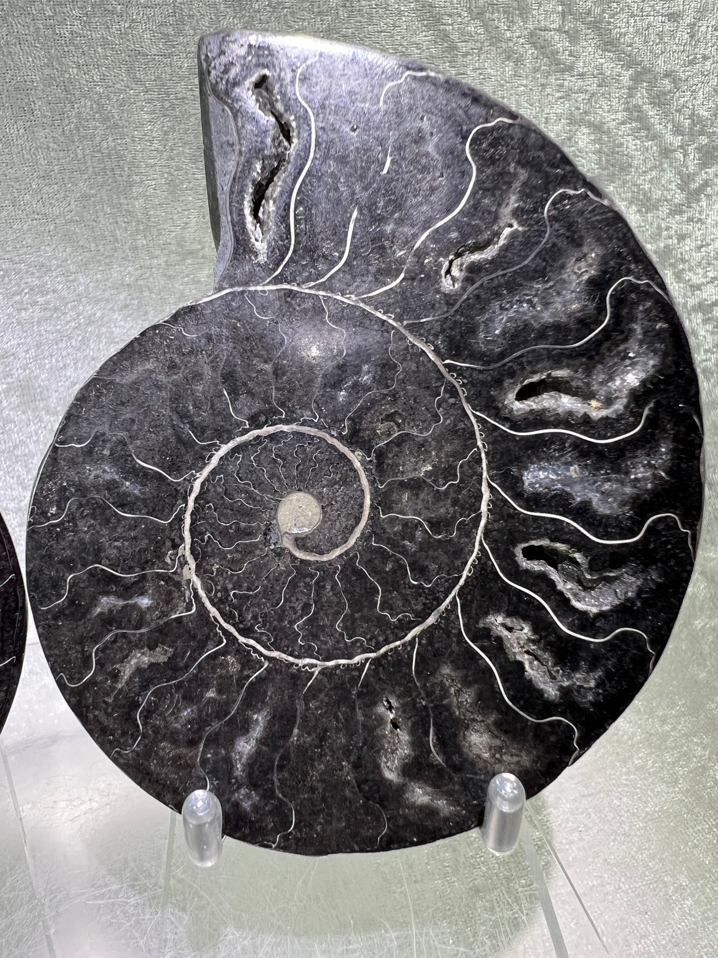Black Ammonite Display Pair. Gorgeous Rare Fossil Specimen From Madagascar. Split And Polished With Amazing Druzy.