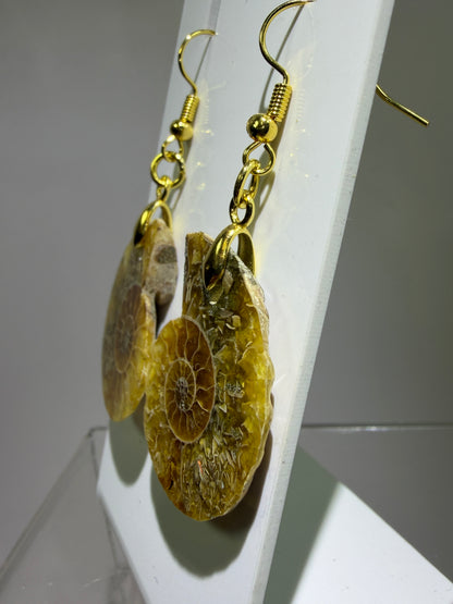 Ammonite Crystal Earrings. Amazing One Of A Kind Jewelry. High Quality Ammonite Pair