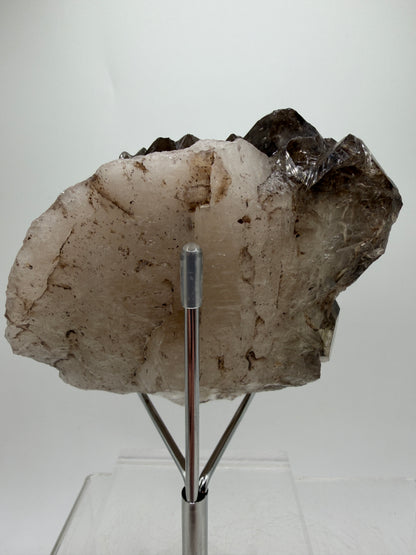 Smoky Elestial Quartz Specimen. High Quality Crystal From Brazil. One Of A Kind Gorgeous Display Crystal