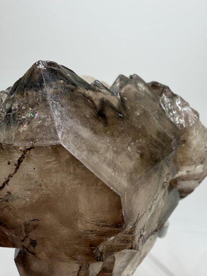 Smoky Elestial Quartz Specimen. High Quality Crystal From Brazil. One Of A Kind Gorgeous Display Crystal