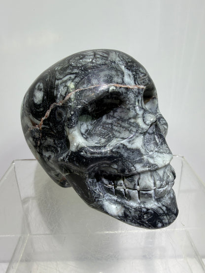 Black Crinoid Skull Carving: Amazing Black And White Fossil Carving. Gorgeous Color Combination And Patterns