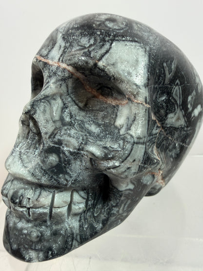 Black Crinoid Skull Carving: Amazing Black And White Fossil Carving. Gorgeous Color Combination And Patterns