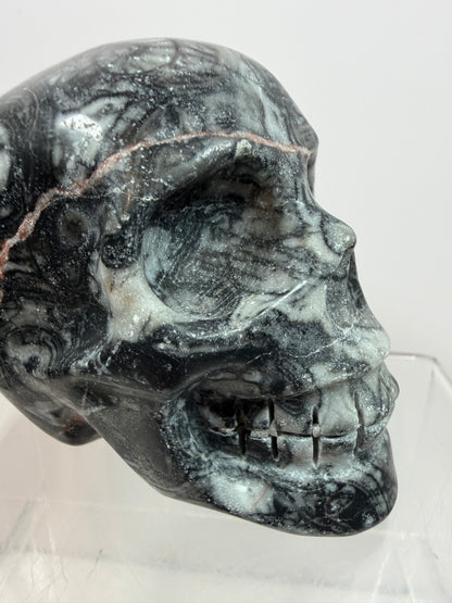 Black Crinoid Skull Carving: Amazing Black And White Fossil Carving. Gorgeous Color Combination And Patterns