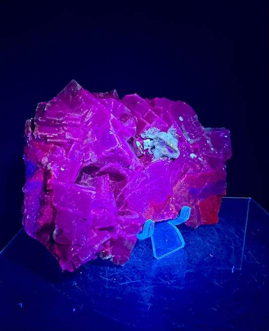 Incredible Black Rose Fluorite. Amazing Cube Formations. UV Reacts A Beautiful Red And Purple. Very Cool UV Display Crystal.