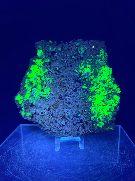 Beautiful Spessartine Garnet With Hyalite Opal Cluster. Intense Green UV Reaction! Incredible UV Display Specimen.