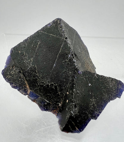 Stunning Black Rose Fluorite. UV Reacts Intense Red! Very High Quality Display Crystal.