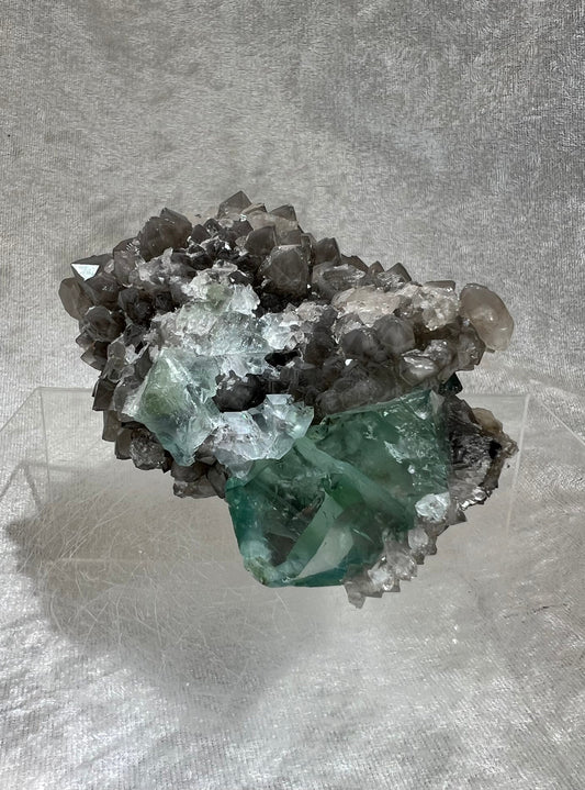Amazing Xianghualing Ice Fluorite And Smoky Quartz Cluster. Incredible Clear Fluorite Cubes On Smoky Quartz Matrix.