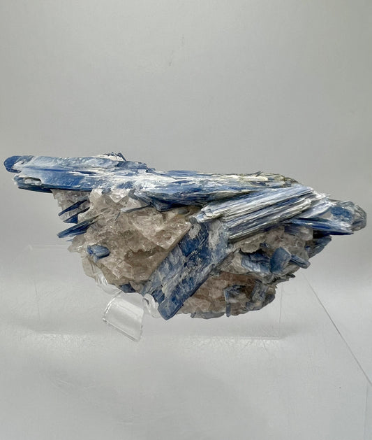 Amazing Kyanite And Quartz Specimen. Beautiful Raw Blue Kyanite Cluster. Very Unique Display Crystal