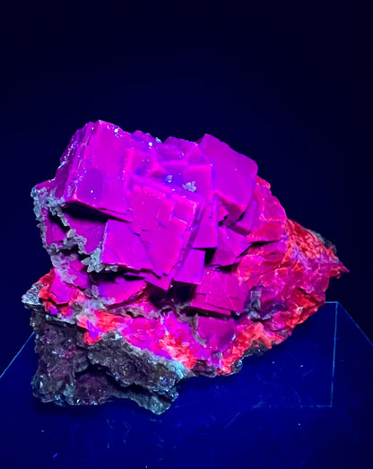 Large Black Rose Fluorite. 1.5 lbs. UV Reacts A Gorgeous Purple Red. Very Unique UV Display Crystal.