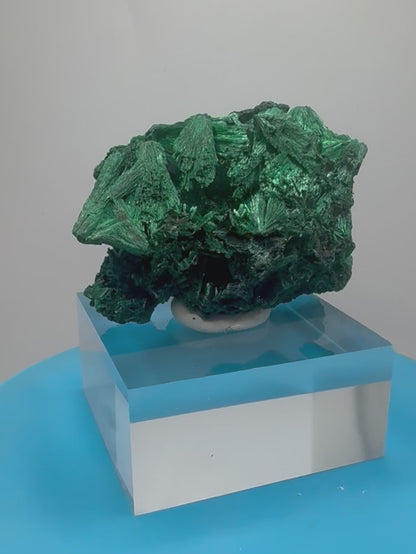 Malachite Display Specimen. Silky Malachite Cluster. High Quality Velvet Malachite From The Congo