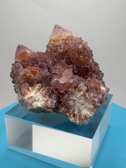 Spirit Quartz Cluster. Amazing Colors With Limonite Inclusions. Beautiful Ametrine Cactus Quartz, Fairy Quartz From South Africa.
