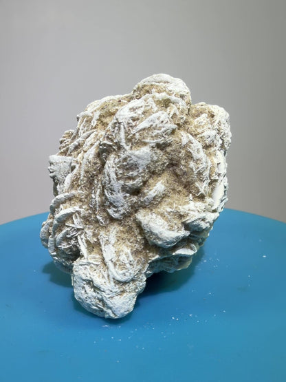 Selenite Desert Rose Specimen. Very Unique Gypsum Cluster.