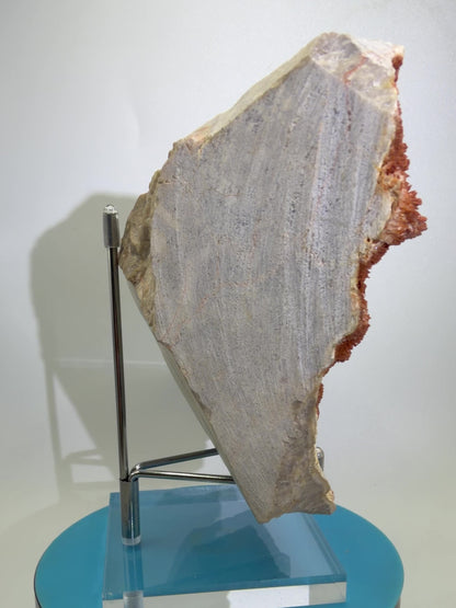 Orange Red Dogtooth Calcite Specimen. Stunning Dogtooth Flower Clusters. High Quality Rare Specimen