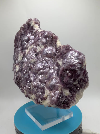 Botryoidal Lepidolite Specimen. Large Very Rare Mineral Cluster From Brazil. Lots Of Flash And Crystallization. Beautiful Color Contrasts.