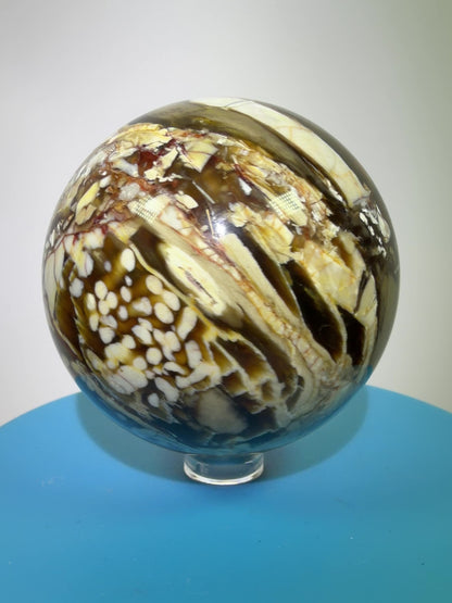 Peanut Wood Sphere. 67mm. Extremely Rare Australian Peanut Wood. Incredible Petrified Wood Display Sphere