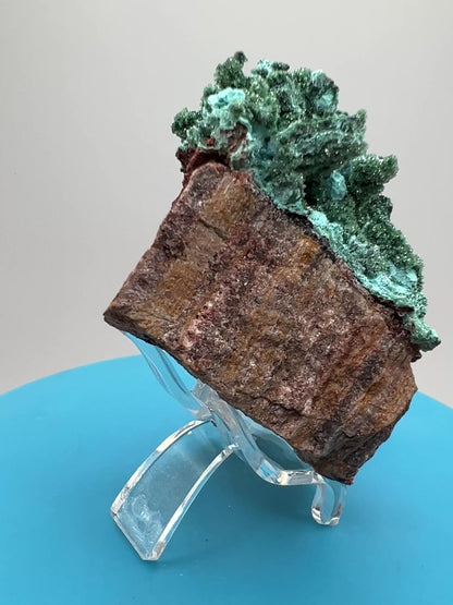 Chrysocolla And Malachite Specimen. High Quality Druzy Chrysocolla From Likasi, Congo. Gorgeous Color Display Crystal.