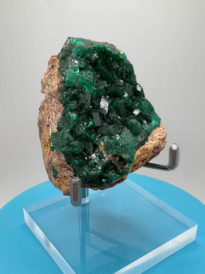 Dioptase Crystal Specimen. High Quality Flashy Mineral From The Congo. Gorgeous Colors And Cubes.