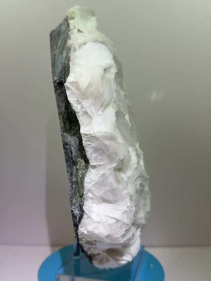 White Rose Bladed Calcite. Extra Large Angel Wing Calcite Specimen. High Quality UV Statement Piece.