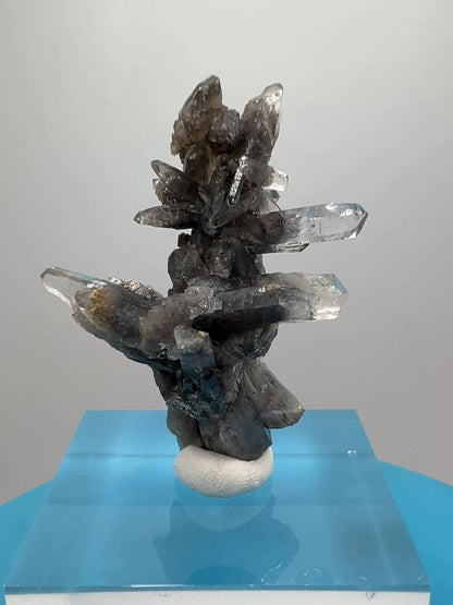 Veracruz Black Phantom Quartz Specimen. New Discovery From Mexico. Very Rare And Limited Collectors Piece. Stunning Display Crystal.